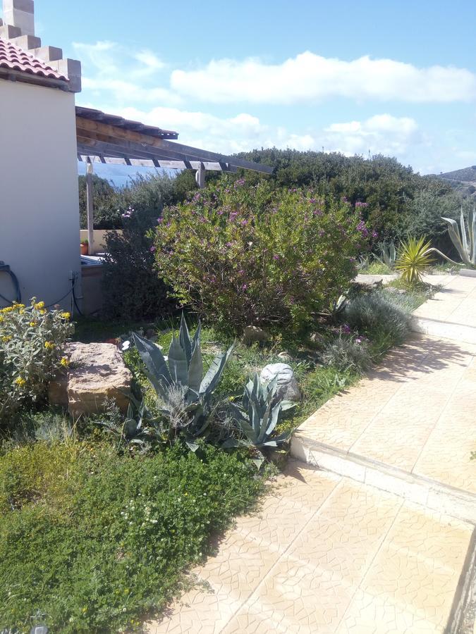 Terramara Nohia Exterior photo